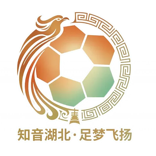 湖北省城市足球联赛 潜江龙虾队VS鄂州临空队20260425